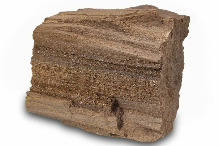 Permineralized Wood Covered In Sparkling Quartz -, Germany #263951